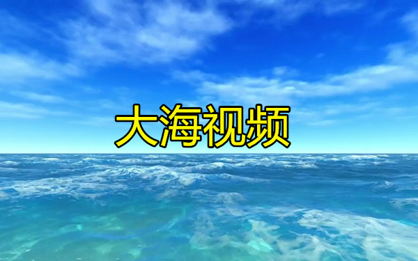 大海视频
