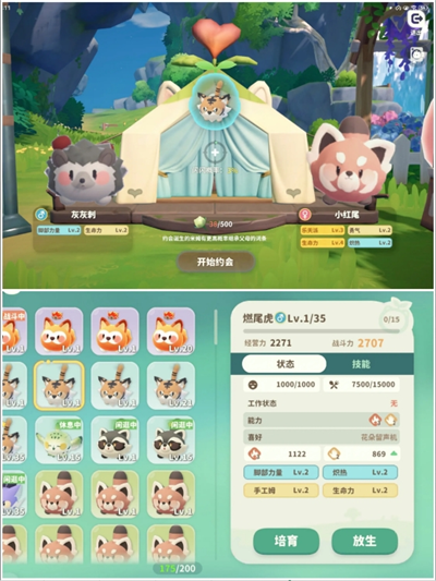 米姆米姆哈燃尾虎稀有词条培养技巧