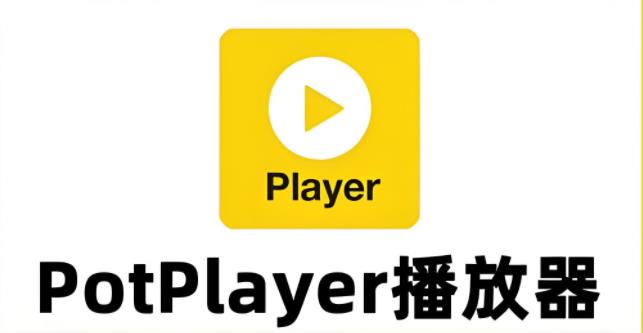 potplayer播放器版本大全