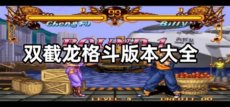 双截龙格斗版本大全