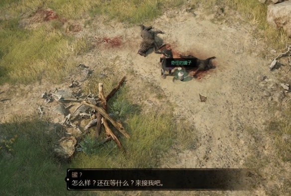 游侠网11