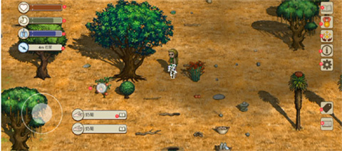 希望之村2来生2025