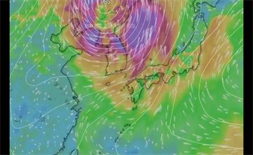 windy气象