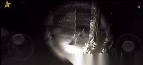 森林2