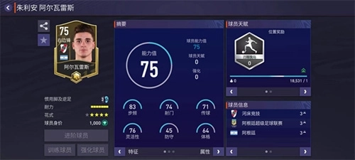 FC足球世界国际服