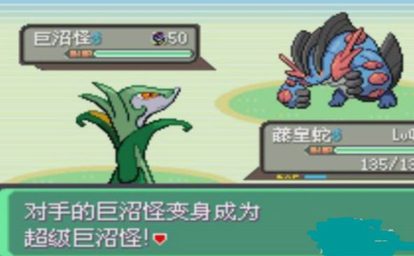 口袋妖怪究极绿宝石汉化版