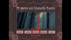 孤寂之地语言切换