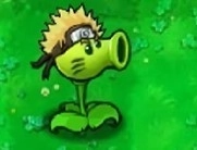 植物大战僵尸火影版游戏