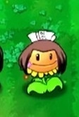 植物大战僵尸火影版游戏