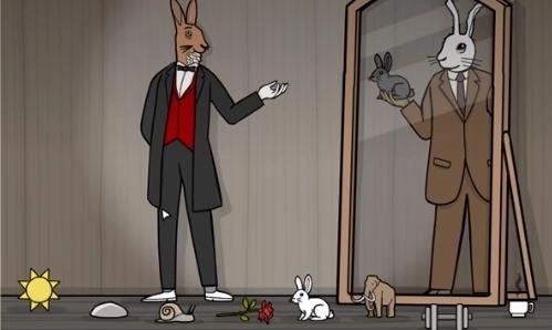 兔子先生的魔术秀