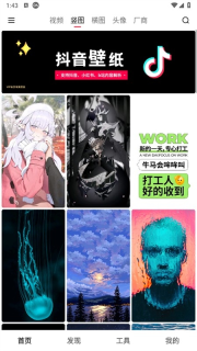 汽水壁纸安卓版