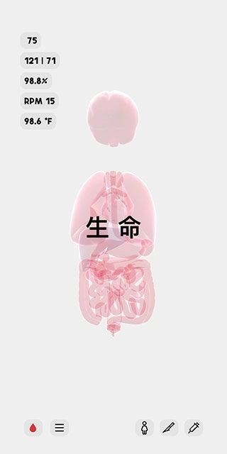生命LIFE安卓版