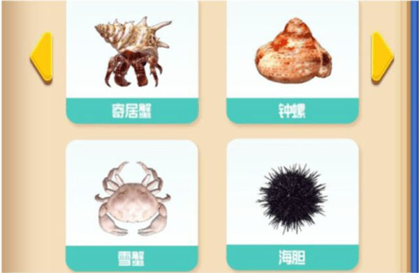 赶海王游戏