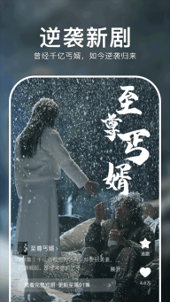 红果免费短剧tv