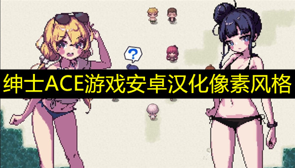 绅士ACE游戏安卓汉化像素风格