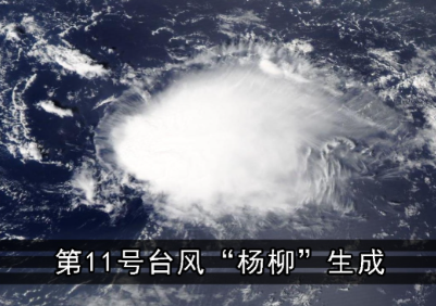 今年第11号台风杨柳生成 台风“杨柳”最强可达强台风级