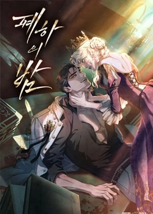 陛下的夜晚免费版