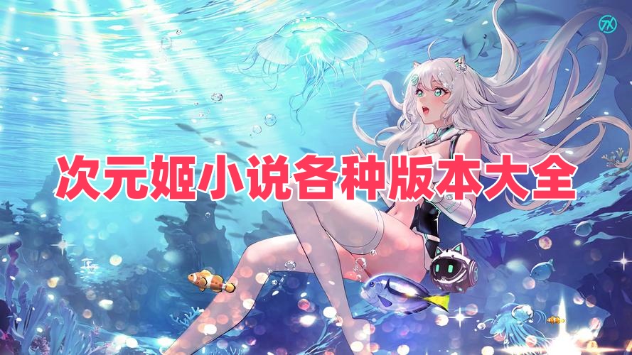 次元姬小说各种版本大全