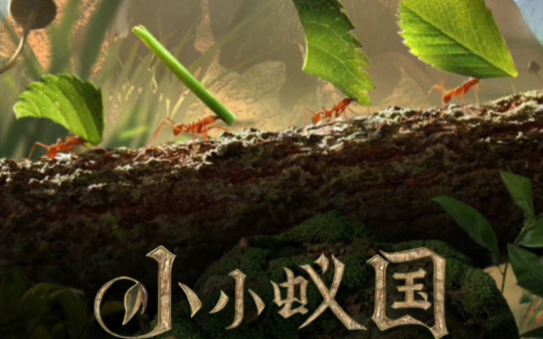 小小蚁国