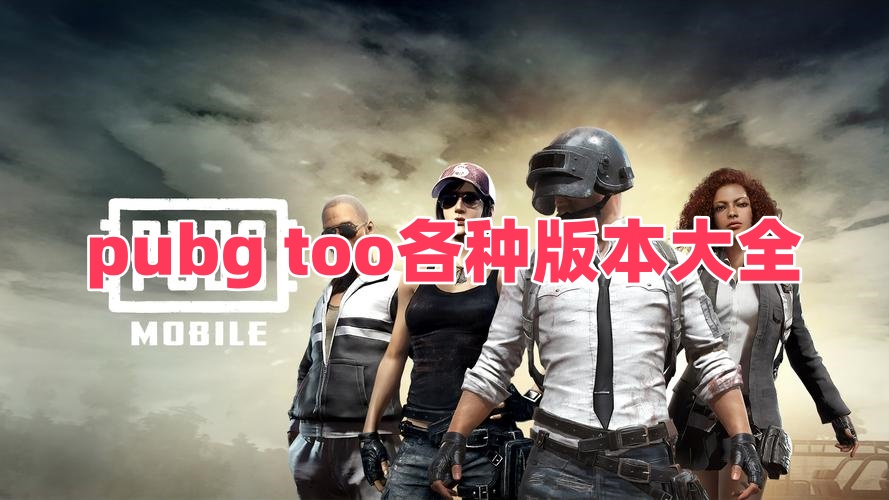pubg too各种版本大全