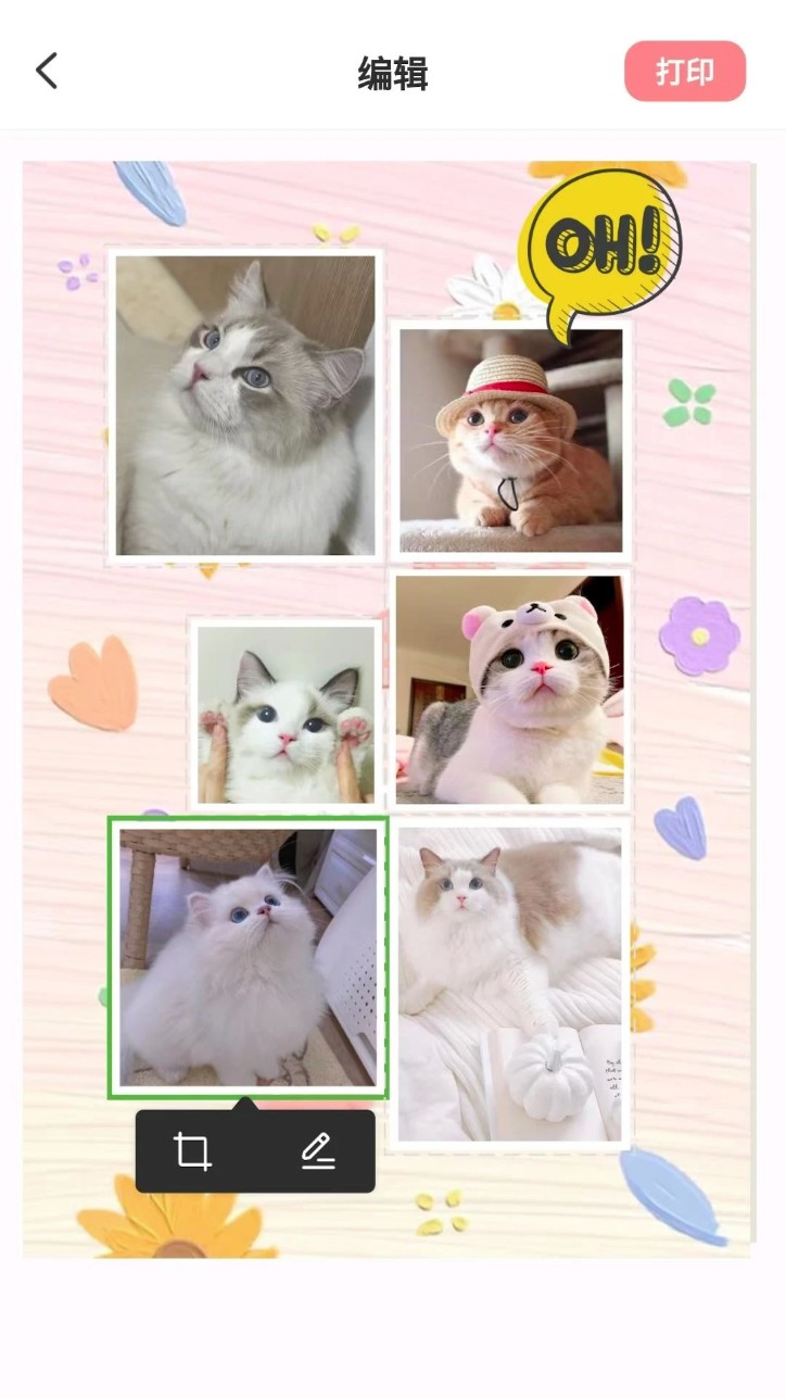 汉印美照中文版