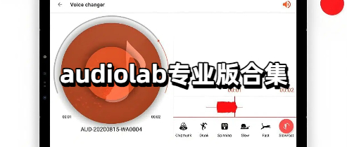 audiolab专业版合集
