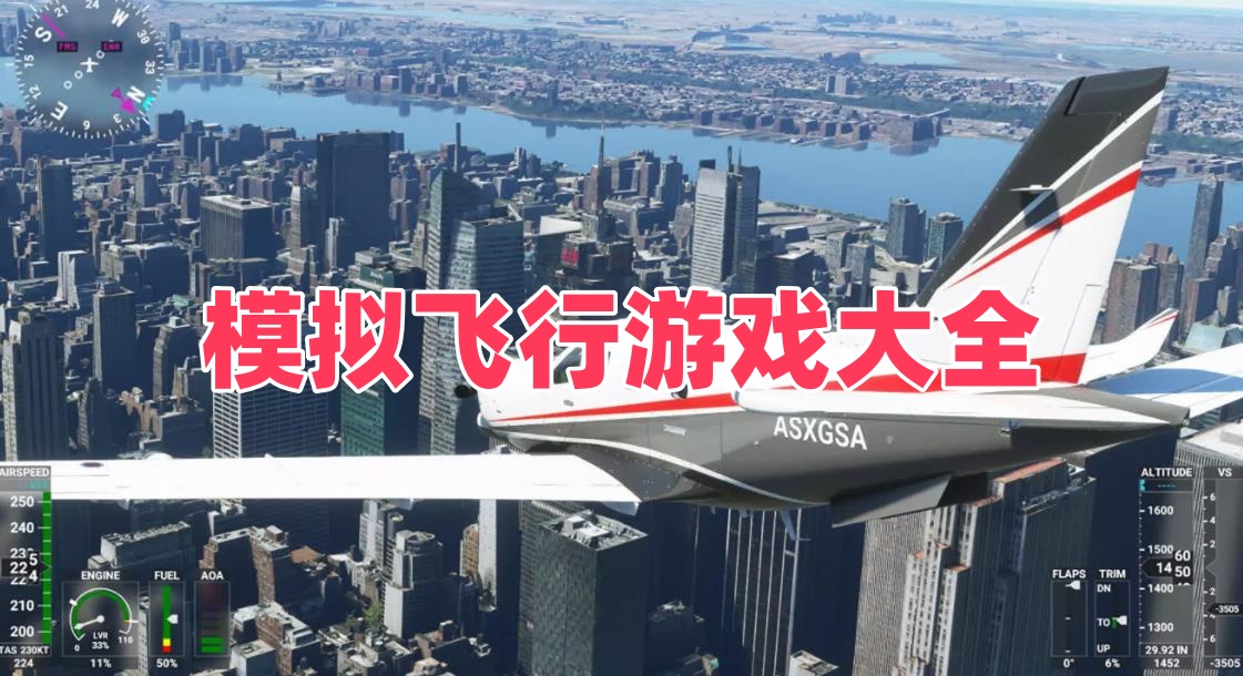 模拟飞行游戏