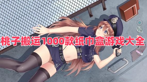 桃子搬運(yùn)1000款紙巾盒游戲大全