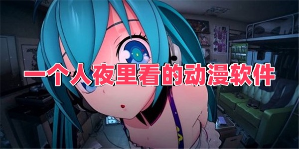 一个人夜里看的动漫软件
