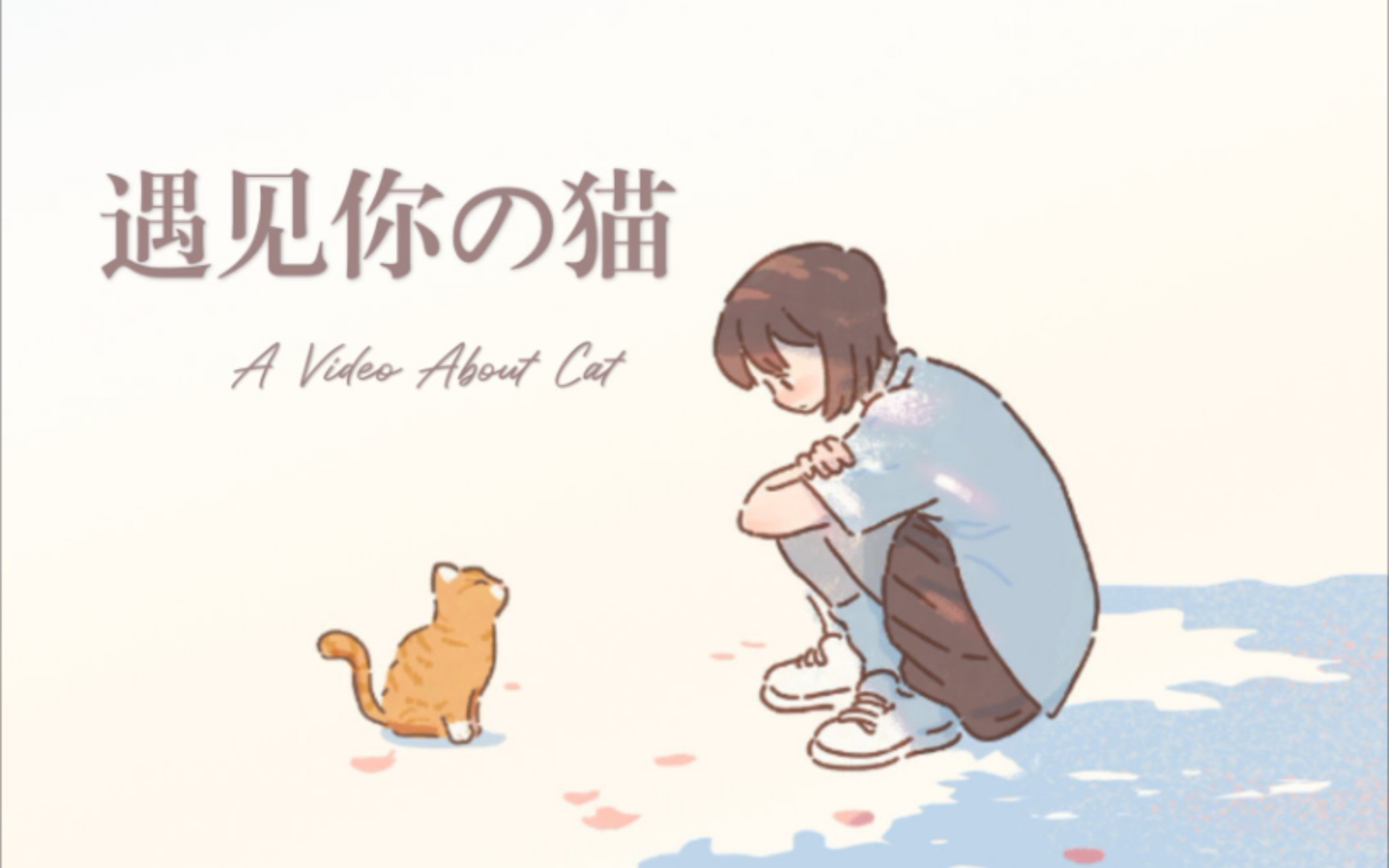 遇见你的猫