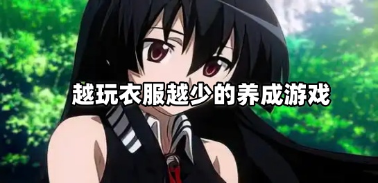 越玩衣服越少的养成游戏