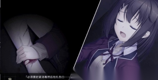 我和她的世界末日冷狐版