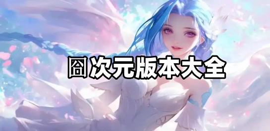 囧次元版本大全