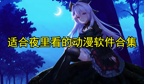 适合夜里看的动漫软件合集