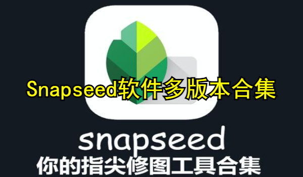 Snapseed软件多版本合集