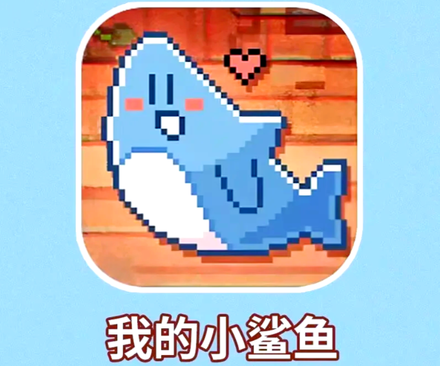 我的小鲨鱼
