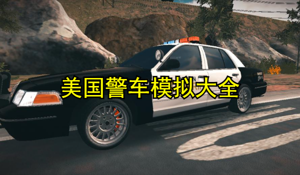 美国警车模拟