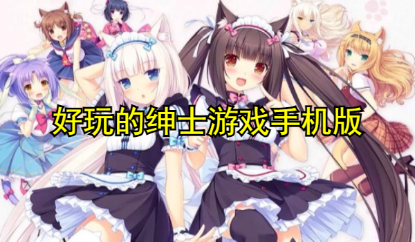 好玩的紳士游戲手機版