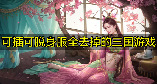 可插可脱身服全去掉的三国游戏