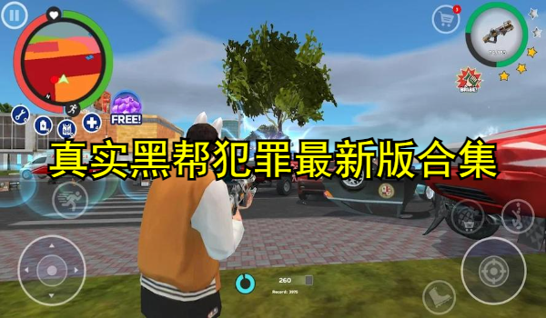 真实黑帮犯罪最新版合集