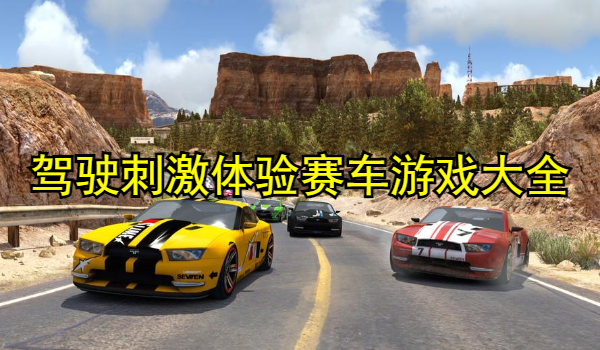 驾驶刺激体验赛车游戏大全