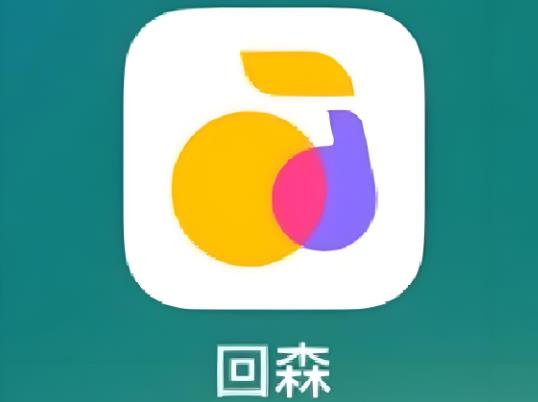 回森版本大全