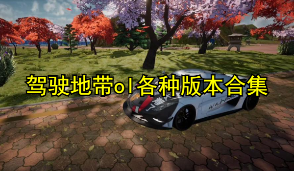 駕駛地帶ol各種版本合集