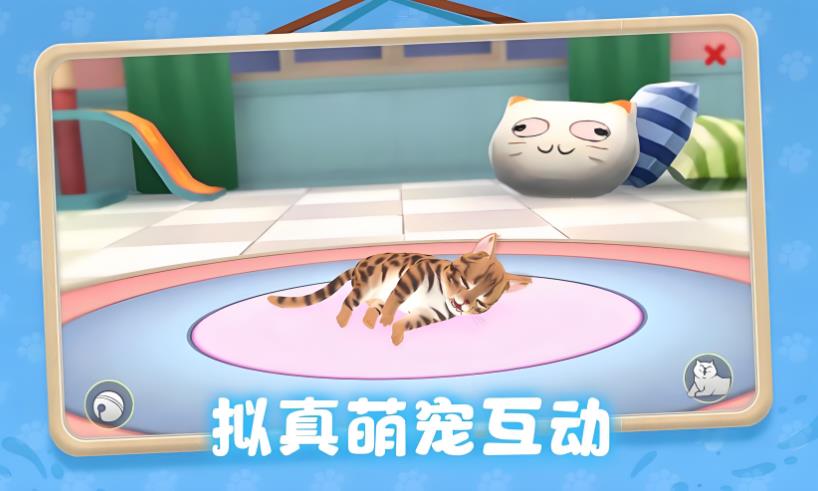 养了个猫版本大全