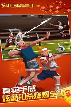 羽毛球高高戲