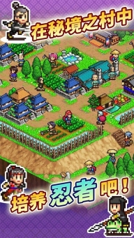 開羅合戰(zhàn)忍者村物語debug版