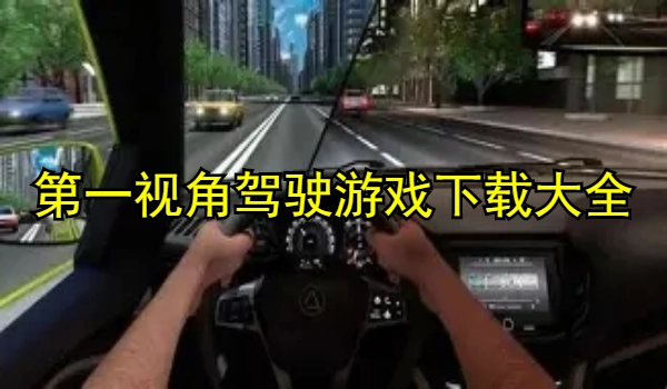 第一视角驾驶游戏