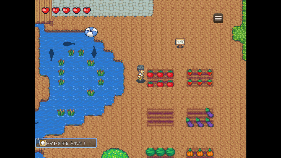 小熊移植后宫牧场生活