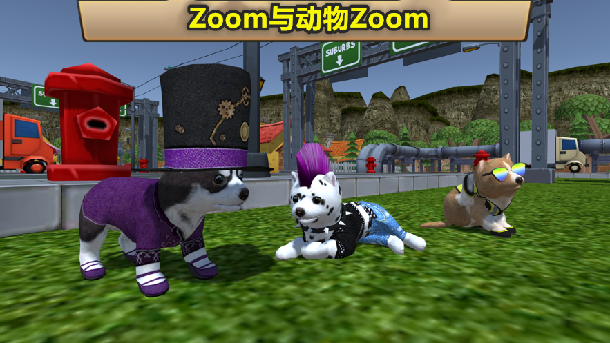 Zoom与动物Zoom