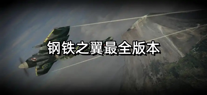 鋼鐵之翼全部版本合集